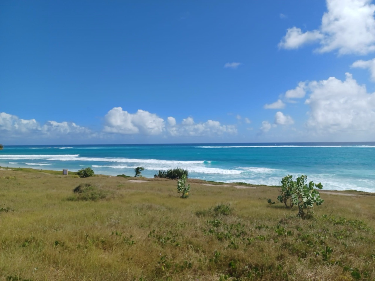 Barbados Properties
